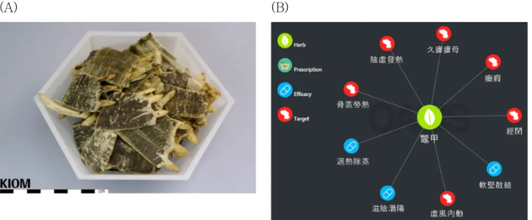 Fig.  1.  Morphological  characters  of  Byeol-Gab  (Biejia,  Pelodiscis  Carapax)  and  main  target  and  efficacy  in  Korean traditional medicine correlation network using Oriental Medicine Advanced Searching Integrated  System  (OASIS).