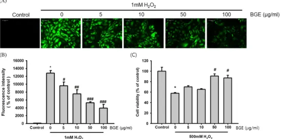 Fig.  3.  Antioxidant  effects  of  ByeolGab  extracts  (BGE)  on  H 2 O 2 -induced  oxidative  stress  in  OP9  cells