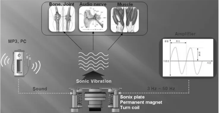 Fig.  2.  Schematic  of  mechanism  of  sonic  wave  vibrator. 