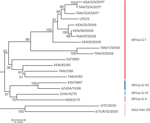 Fig. 3. The serotype A neighbour-joining tree showing 20 nucleotide sequences. The probability of trees in which the  associated taxa clustered together is shown next to the branches