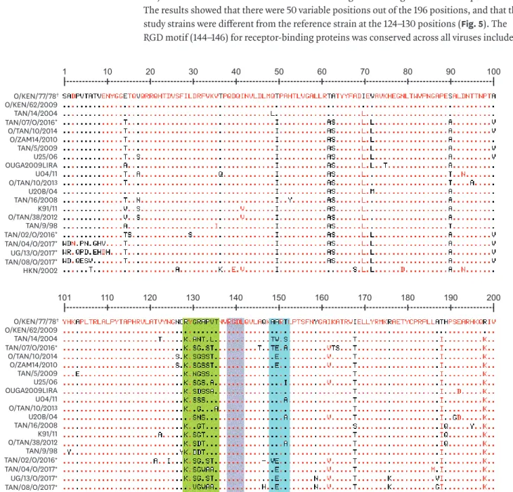Fig. 4. Amino acid sequence alignment for serotype O sequences inferred from the study nucleotide sequences ( * ) with the reference vaccine strain O/O/