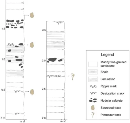 Fig. 3. Stratigraphic columnar section of the track-bearing deposits in the study area