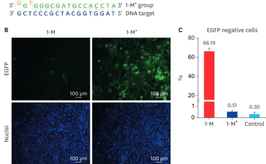 Fig. 4. Shortened guide RNAs with mismatches interfered with the efficiency of the CRISPR/CRISPR-associated  protein 9 system