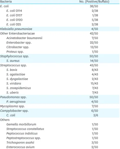Table 2. Bacteria isolated from udders of 50 buffaloes