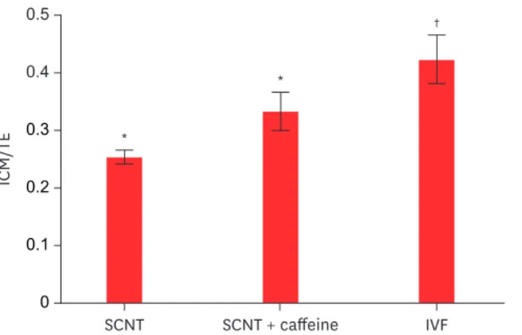 Table 2. Development of porcine SCNT embryos by caffeine supplementation in manipulation media with four different concentrations Caffeine 