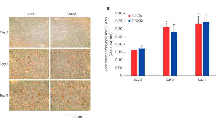 Fig. 3. Mineralization of F-GCSs and FT-GCSs. (A) Alizarin red staining of F-GCSs and FT-GCSs after 0, 5, and 11 days of culture (Scale bar 100 µm)