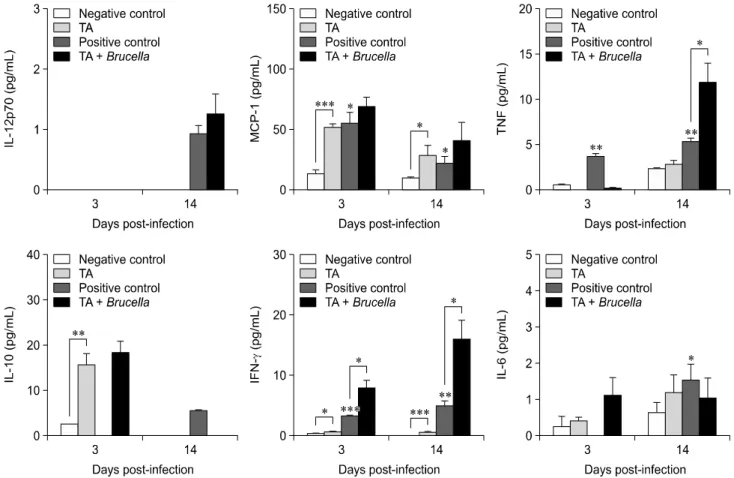Fig. 5. Immune response analysis of tannic acid (TA)-treated mice or PBS-treated mice against Brucella abortus infection in mice