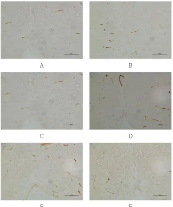Fig. 6. Effects of Araliae Continentalis Radix pharmacopuncture on the blood serum tumor necrosis factor-α(TNF-α) in the neuropathic  pain induced rats