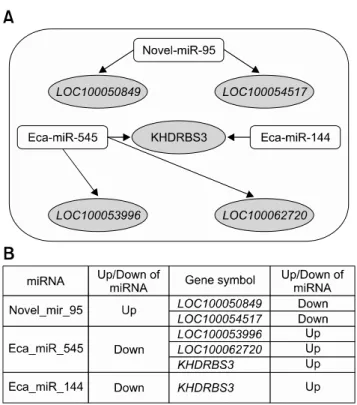 Fig. 4. Regulation of microRNAs (miRNAs) and mRNAs is altered by exercise. (A) and (B) illustrate the relationships between the  differentially expressed mRNAs in the microarray data and the  mRNAs targeted by the differentially expressed miRNAs induced by