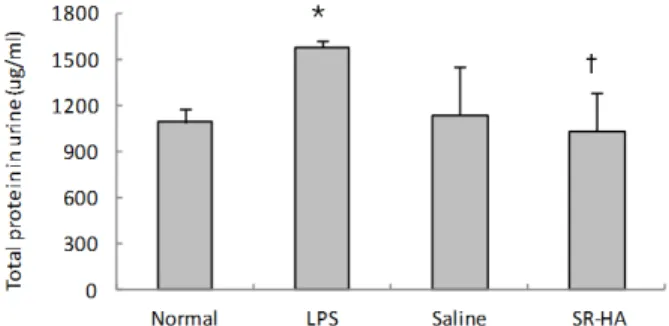 Fig.  9.  Effects  of  SR-HA  on  urinary  creatinine  level  in  LPS-sti- LPS-sti-mulated  rats.