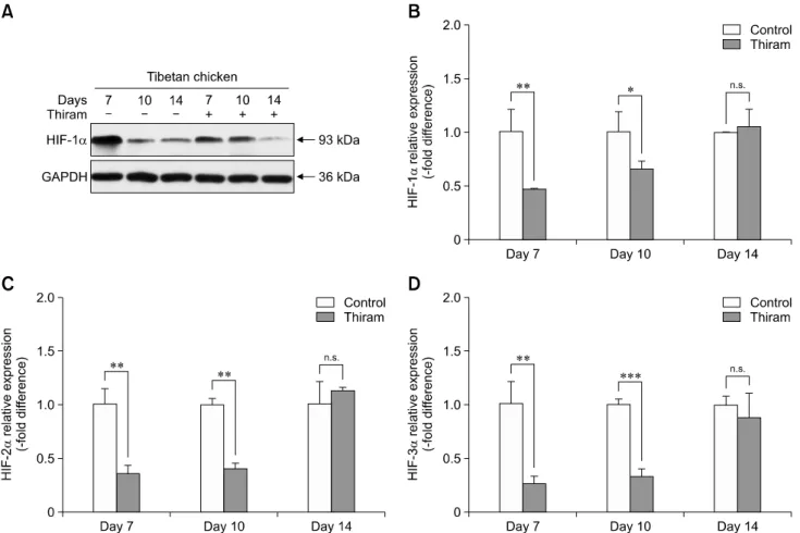Table 2. Thiram-induced TD morbidity of AACs and TBCs