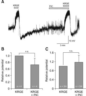 Fig. 4. Korean red ginseng extract (KRGE)-mediated membrane  potential changes are mediated by activation of non–