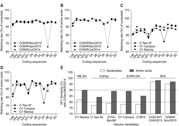 Fig. 4. Comparison of complete genome and VP1 sequences of the foot-and-mouth disease (FMD) viral strains closely related to  O/SKR/Dec/2014