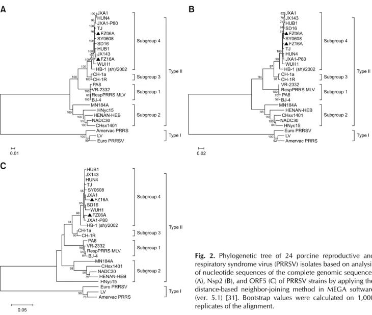 Fig. 2. Phylogenetic tree of 24 porcine reproductive and  respiratory syndrome virus (PRRSV) isolates based on analysis  of nucleotide sequences of the complete genomic sequences  (A), Nsp2 (B), and ORF5 (C) of PRRSV strains by applying the  distance-based