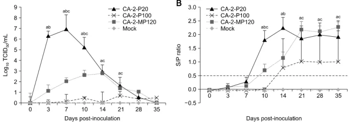 Fig. 2. Virus replication in vivo and seroconversion. (A) Mean levels of viremia of pigs infected with CA-2-P20, CA-2-P100, or  CA-2-MP120