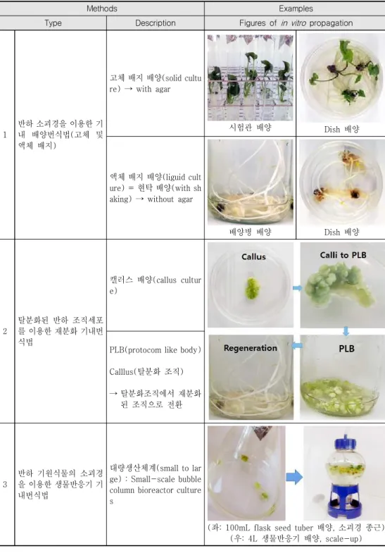 Table  2.  Various  methods  for  in  vitro  propagation  of  Pinellia  ternata .