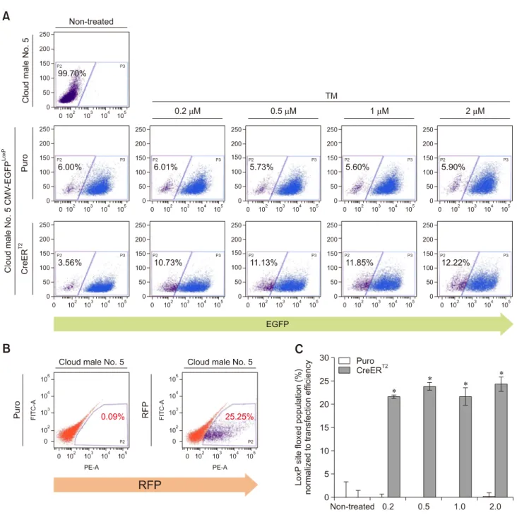 Fig. 1. Validation of CreER T2 -mediated recombination in pig fibroblasts after 4-hydroxytamoxifen (TM) administration