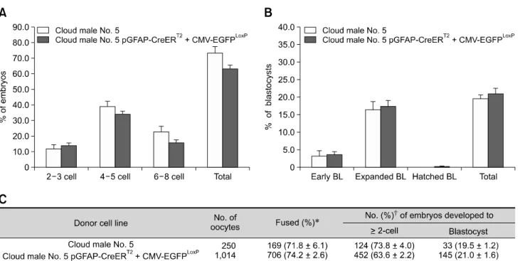 Fig. 3. Effect of different donor cell types during preimplantation development (A) on the cleavage pattern and (B) the blastocyst  formation pattern of somatic cell nuclear transfer (SCNT) embryos