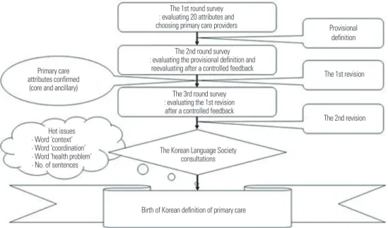 Figure 1. Delphi process used to develop a consensus definition of primary care.