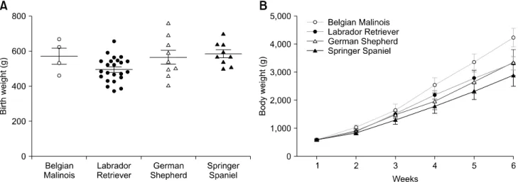 Fig. 1. Birth weight (A) and growth performance (B) of cloned working dogs from birth up to 6 weeks old