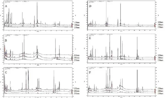 Fig.  3.  Chromatograms  of  composition  of  individual  herbal  combination  of  PWS.