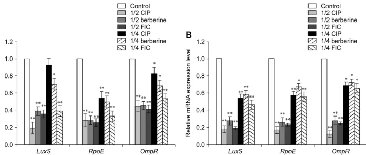 Fig. 4. The effects of the antimicrobial agents on luxS, rpoE, and ompR mRNA expression levels in the multi-resistant Salmonella strain (A) and in strain CVCC528 (B)
