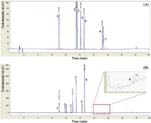 Figure 2.  HPLC  . (A)  phenol  , (B)  phenol 