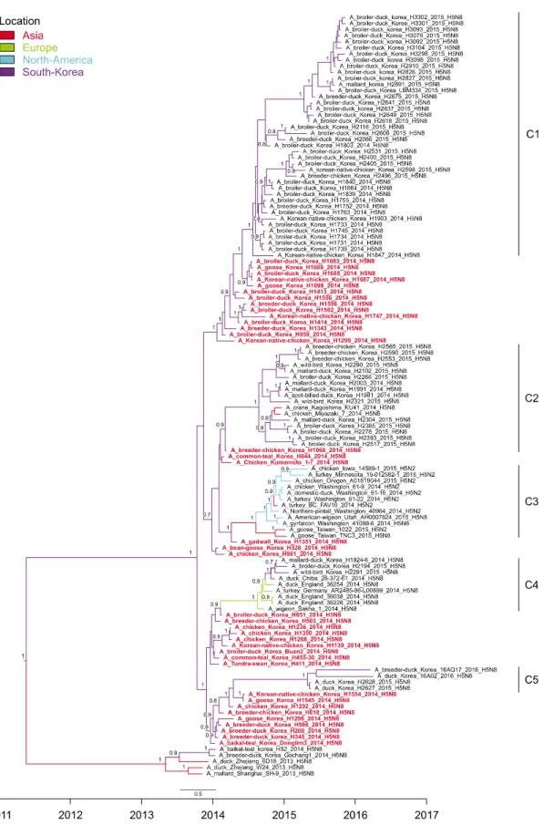 Fig. 2. The estimated maximum clade credibility (MCC) phylogeny of the hemagglutination (HA) gene of H5N8 in Korea and of H5 worldwide (all variants of H5 clade 2.3.4.4)