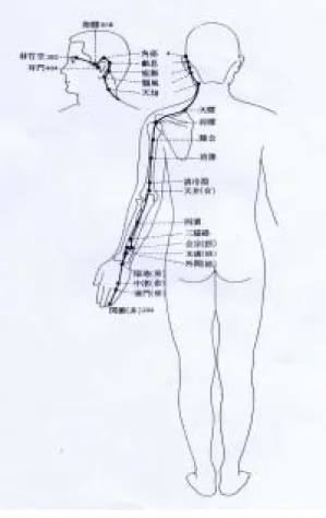Fig. 12. Photograph shows triple energizer mer- mer-idianpoints(TE 22-TE 23) at body  sur-face of head.