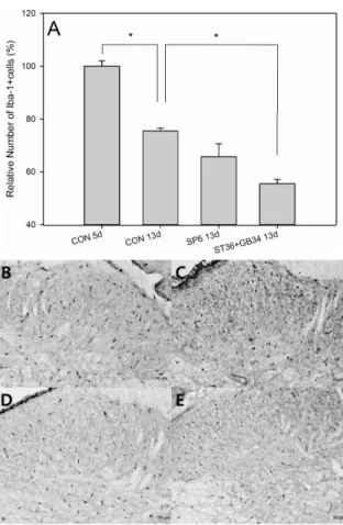 Fig.  3.  Effect  of  repetitive  EA  on  astrocytic  activation. 