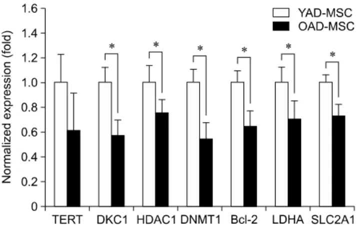Fig. 5. Cell survival-related genes of canine adipose  tissue-derived mesenchymal stem cells (cAD-MSCs)