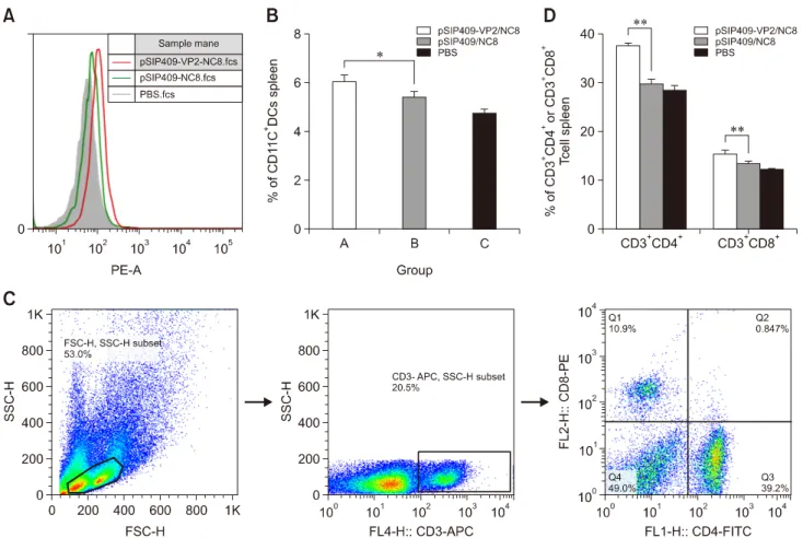 Fig. 6. CD11c, CD4, and CD8 expressions in immunized mice. Group A, pSIP409-VP2/NC8; Group B, pSIP409/NC8; Group C,  phosphate-buffered saline (PBS)
