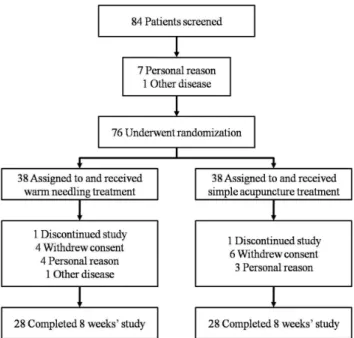 Fig.  2.  The  flowchart  of  participants.
