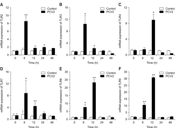 Fig. 8. Changes in mRNA expression levels of various Toll-like receptors (TLRs) after porcine circovirus type 2 (PCV2) infection