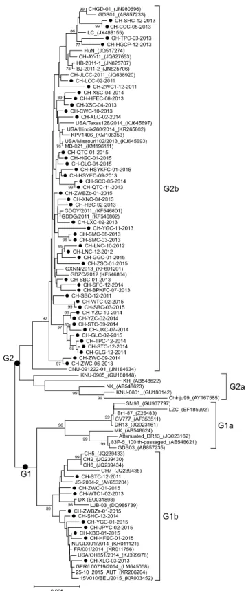 Fig. 1. Alignment of the deduced amino acid sequences of partial spike (S) protein of Guangdong isolates with that of vaccine  strains