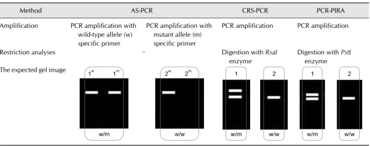 Table 3. Simplified protocols for the allele-specific polymerase chain reaction (AS-PCR), created restriction-site PCR (CRS-PCR), and  PCR with primer-introduced restriction analysis (PCR-PIRA) methods