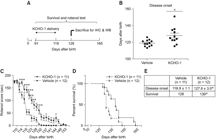 Fig. 1. KCHO-1 improved motor function and delayed amyotrophic lateral sclerosis (ALS) disease onset