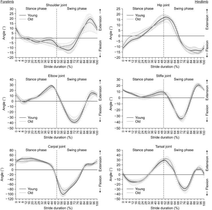 Fig. 2. Joint angle progression curves. Comparative depiction of the standardized joint angle means ± SD in degrees in the progression of one stride for young (n = 5) and old (n = 5) Beagle dogs