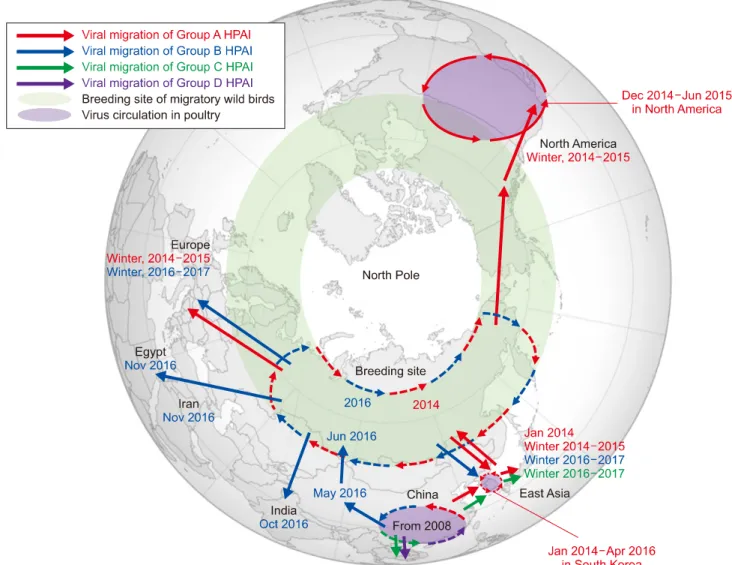 Fig. 1. Geographic map showing movement patterns of highly pathogenic avian influenza (HPAI) clade 2.3.4.4 viruses.