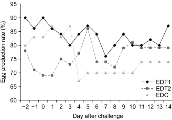 Fig. 3. Comparison of rate of production of abnormal eggs  among flocks after MS96 (H9N2) challenge.