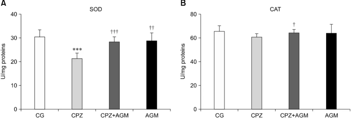 Fig. 3. Total superoxide dismutase (SOD) activity (A) and catalage (CAT) activity (B) in rat forebrain cortex