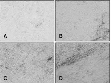 Fig. 7. Quantitative immunoblot detection of GFAP protein  levels in forebrain cortex isolated from the control, CPZ,  CPZ+AGM and AGM group 48 h after treatment