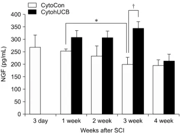 Fig. 3. Expression of neurotrophin-3 (NT-3) in injured and treated spinal cord in the rat