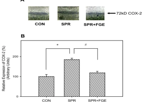 Fig. 9 Western blot (A) and densitometric (B) analysis of iNOS expression in the spinal cord samples from the several groups.
