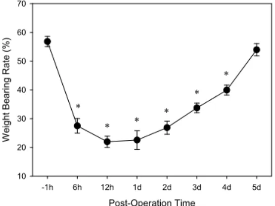 Fig. 1. Time course of ankle sprain pain model.