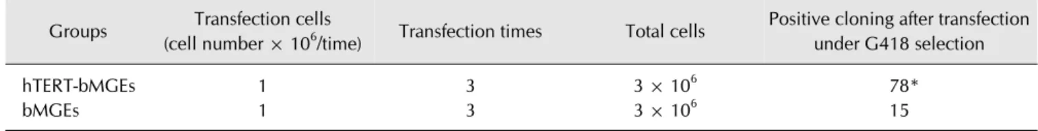 Table 1.  Comparison of feasibility for plasmid pEBM gene transfer into hTERT-bMGEs and bMGEs  Groups Transfection cells