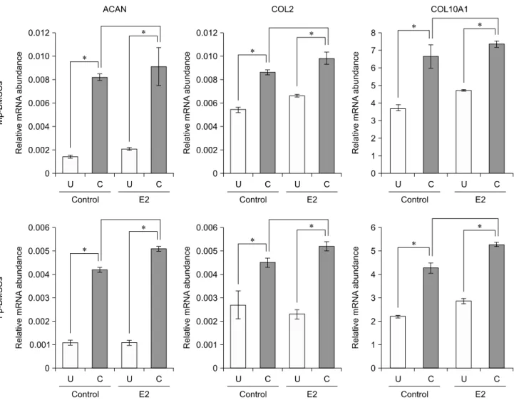 Fig. 9. Relative quantification of chondrogenic differentiation-related genes in Mp- and Fp-BMSCs following supplementation with E2 (10 −12  M)