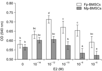 Fig. 3. Analysis of cellular senescence in Mp- and Fp-BMSCs  following E2 supplementation using -galactosidase (-Gal)  staining