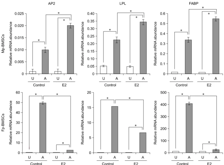 Fig. 7. Relative quantification of adipogenic differentiation-related genes in Mp- and Fp-BMSCs following supplementation of E2 (10 −12  M)
