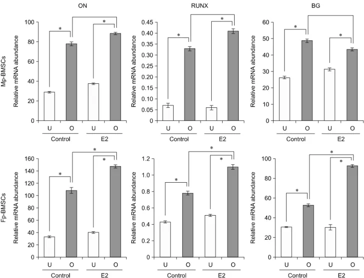 Fig. 8. Relative quantification of osteogenic differentiation-related genes in Mp- and Fp-BMSCs following supplementation of E2 (10 −12  M)